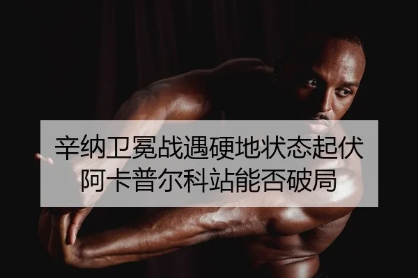 辛纳卫冕战遇硬地状态起伏 阿卡普尔科站能否破局
